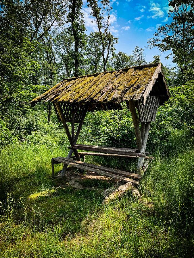 Gaestehaus An Der Berbke Arnsberg Buitenkant foto